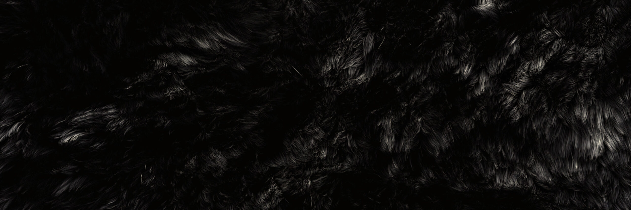 LEGACY – GRAND OPENING<HR>@GIBUS CLUB // 11-01